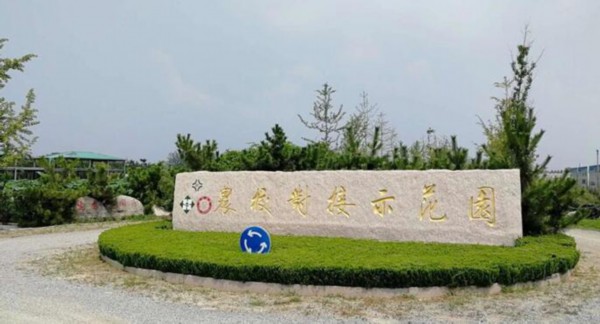 花园.jpg